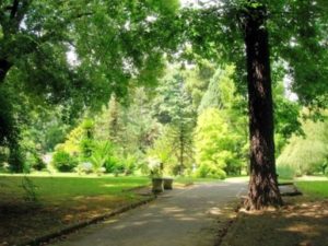 Uno scorcio del Real Orto Botanico di Napoli