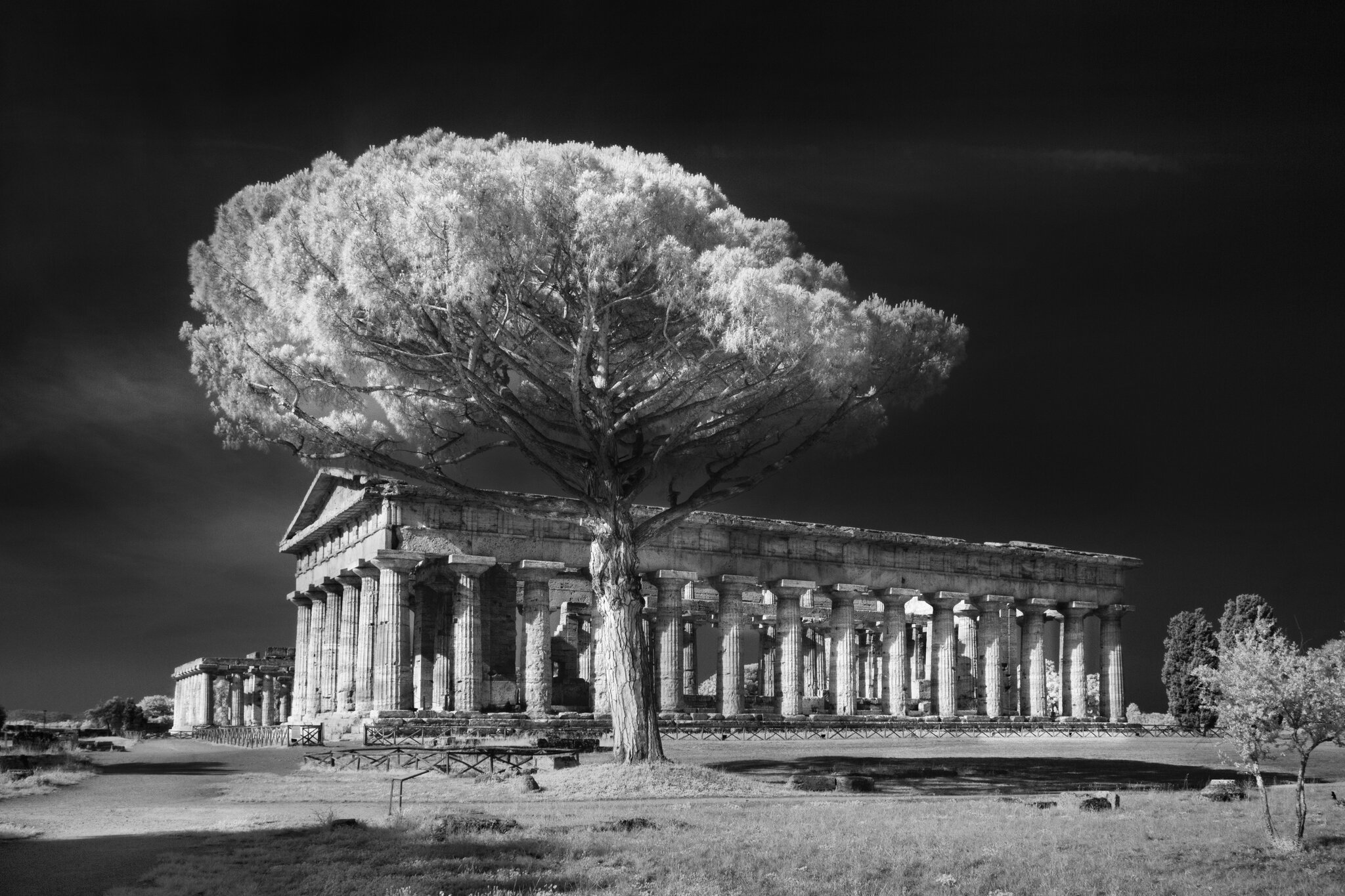 A Paestum le fotografie di Marco Divitini