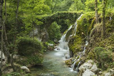 Lo studio: in Europa natura in rapido declino