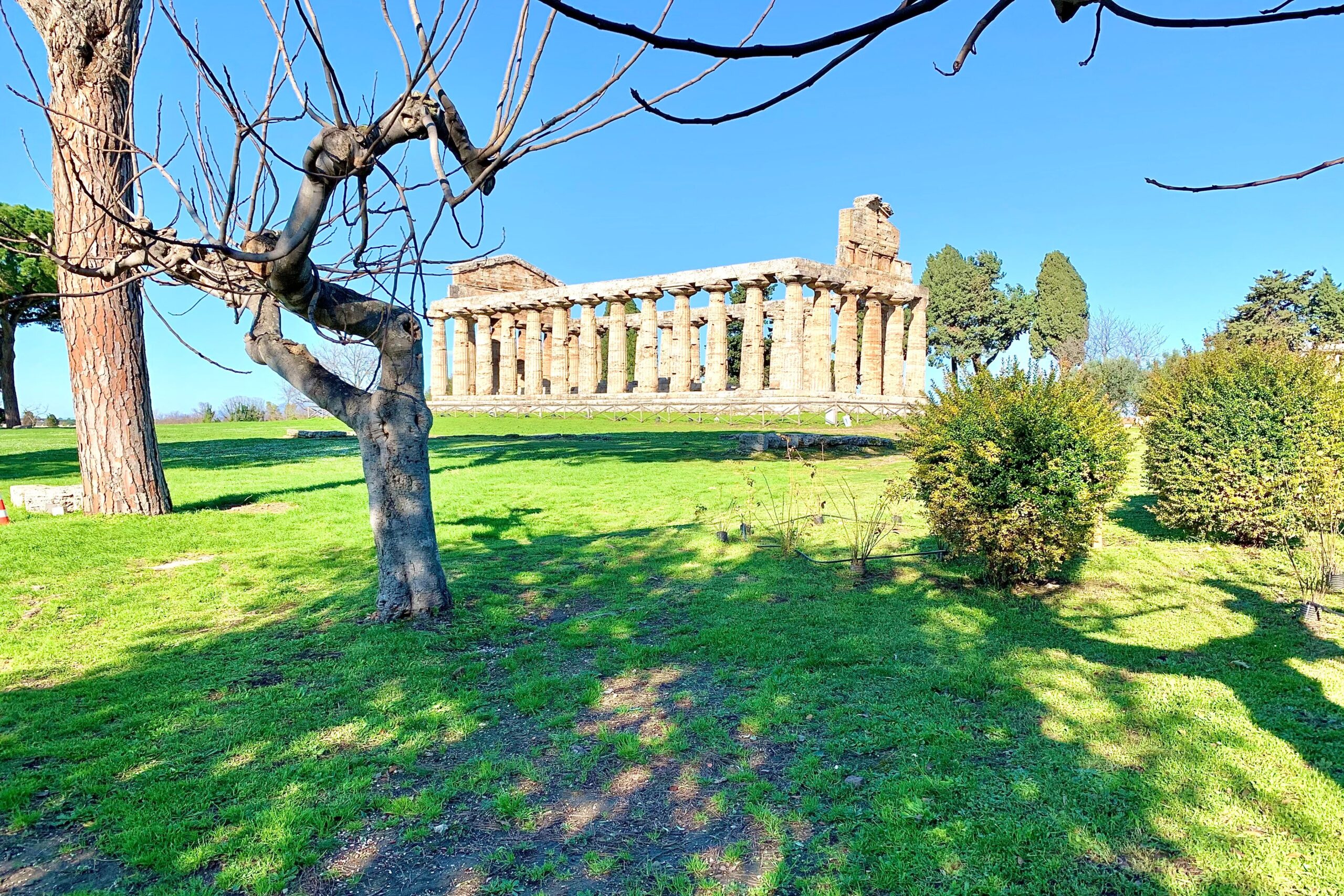 Il Parco Archeologico di Paestum e Velia riapre le porte ai visitatori