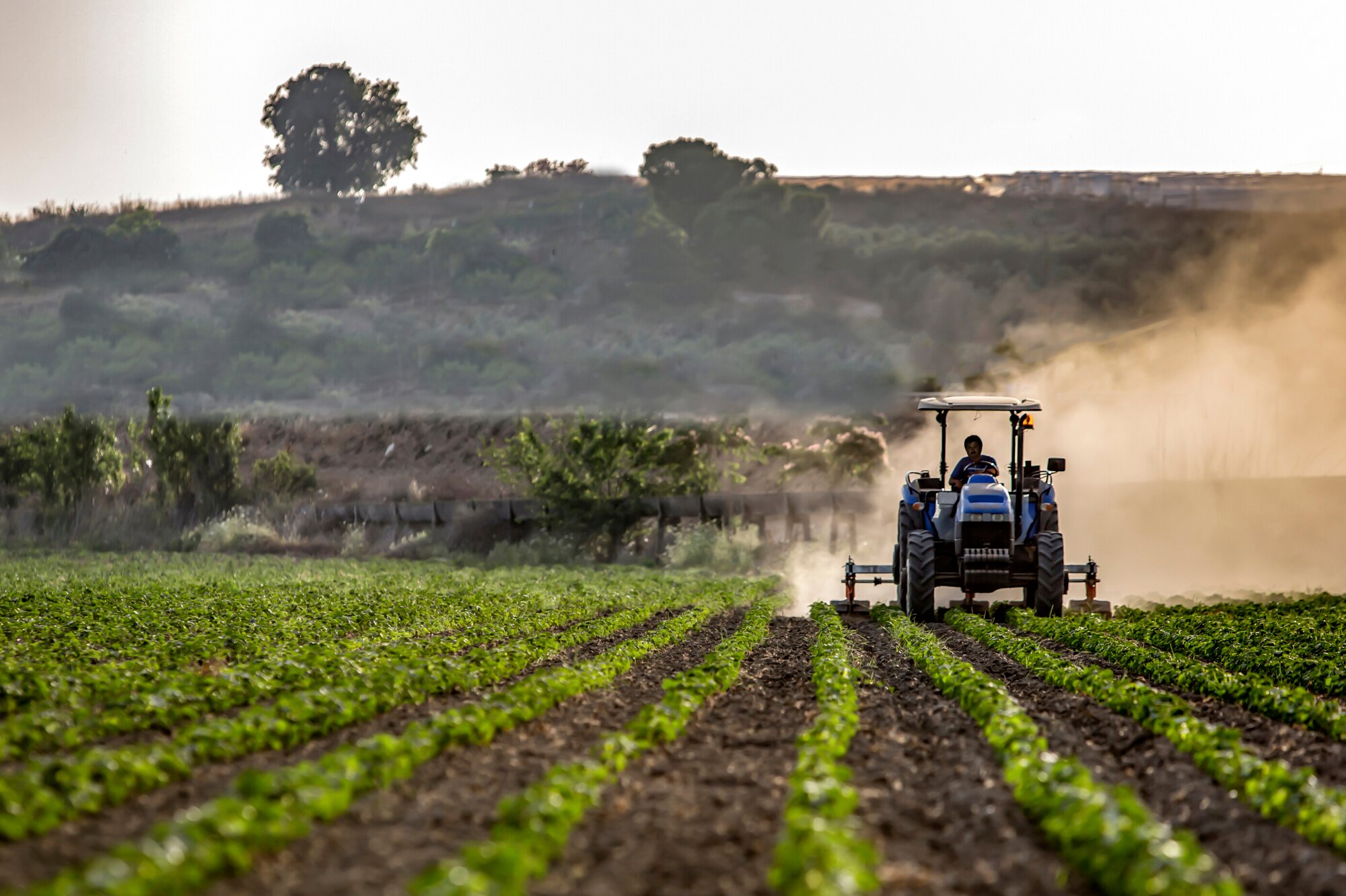 Covid: Coldiretti, agricoltura italiana prima in Europa